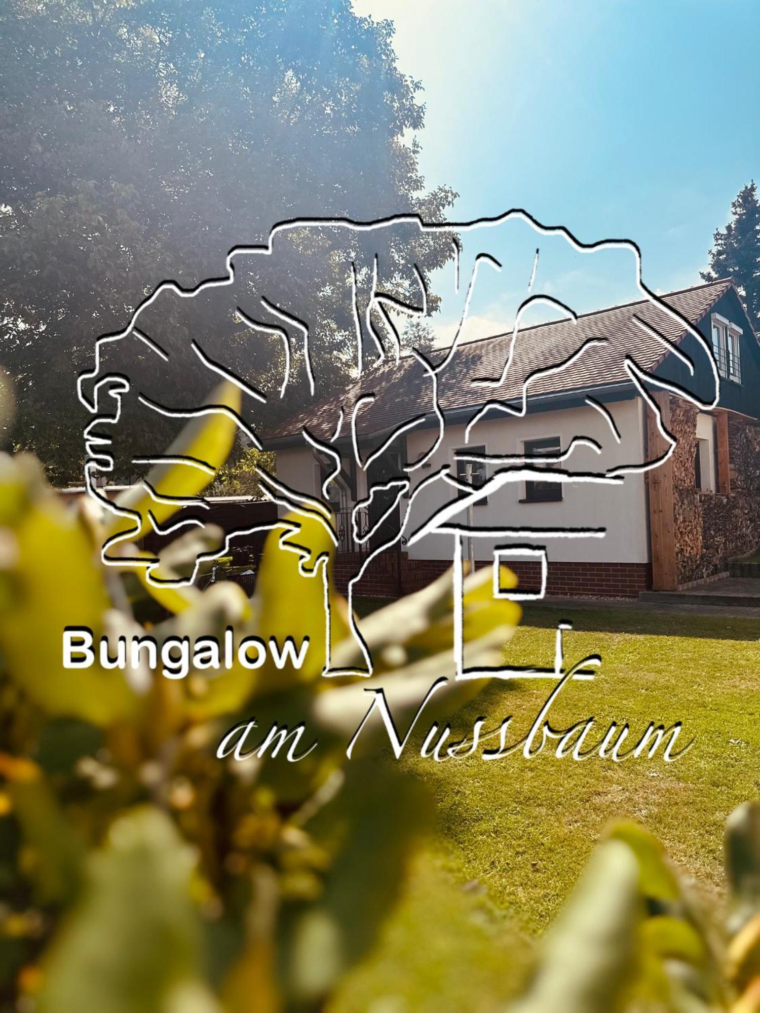Bungalow Am Nussbaum Olbersdorf Extérieur photo